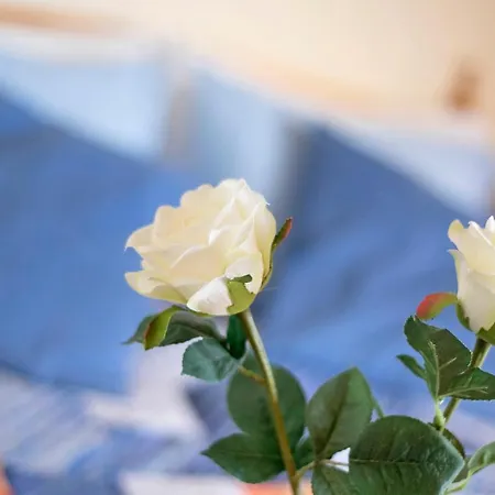 Appartement Marazul *